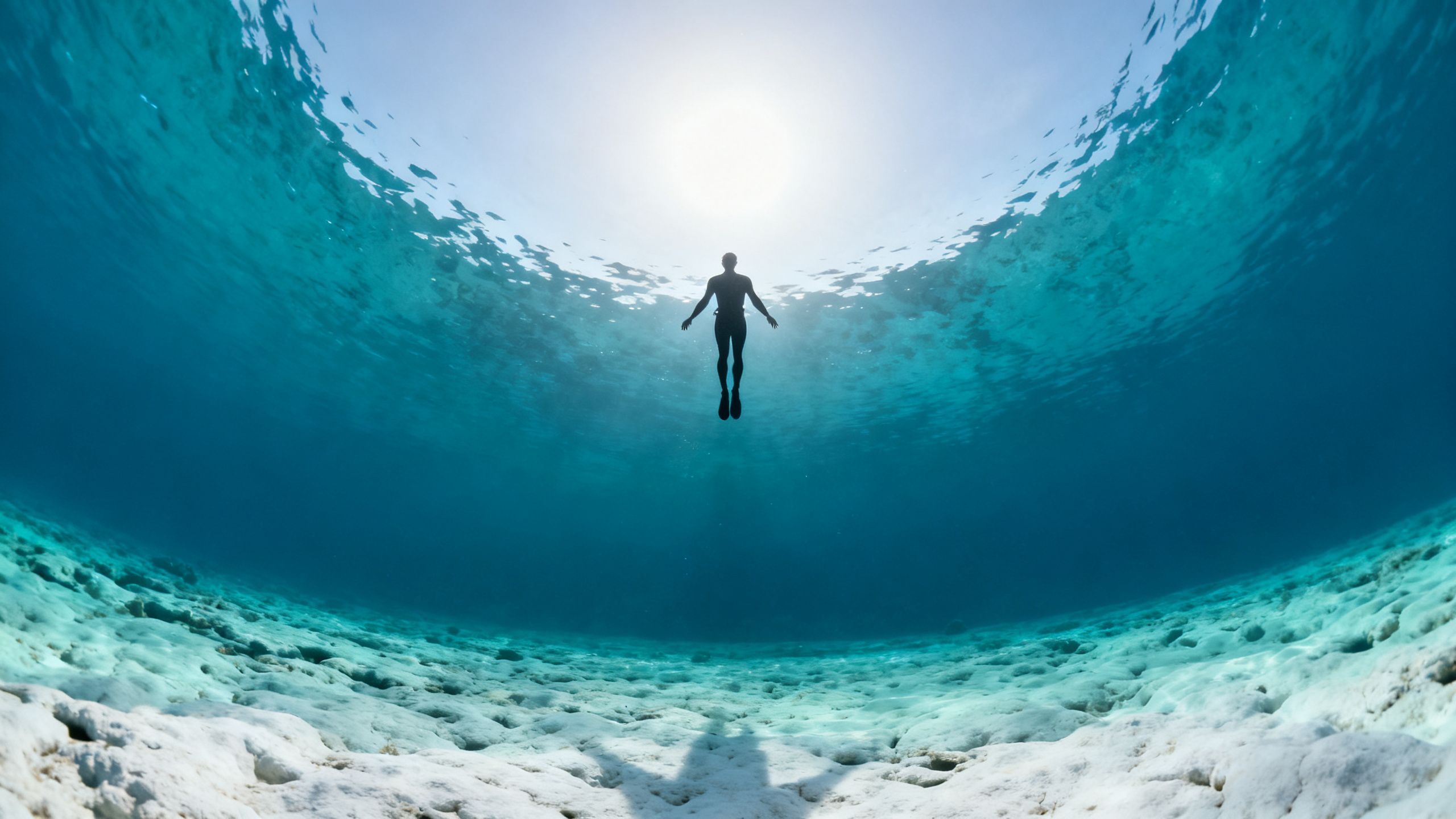 Un buceador asciende hacia la superficie a contraluz, con el sol atravesando el agua.