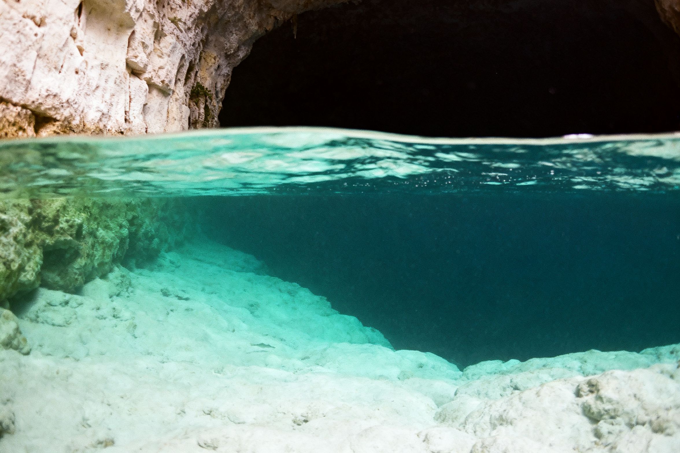 Una haloclina difumina el agua de un cenote profundo; por debajo todo se pierde en negro.
